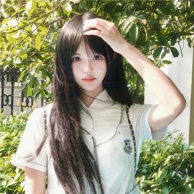 月季花开